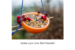 How To Make Your Own Easter Bird Feeder!