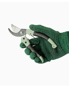 Gloves and Pruning Shears