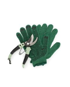 Gloves and Pruning Shears