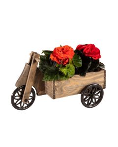 Wooden Tricycle Planter
