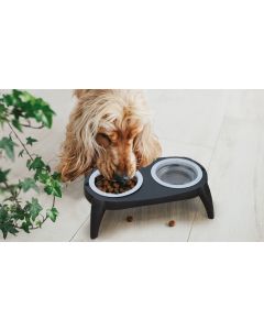 Pet Bowls With Stand
