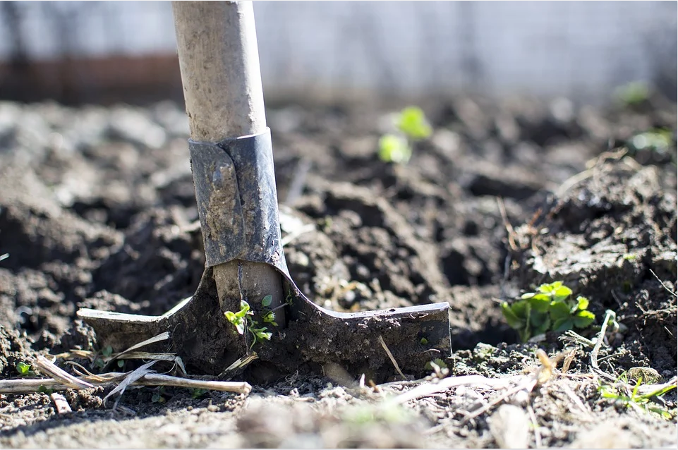 7 Essential Gardening Tools Blog.