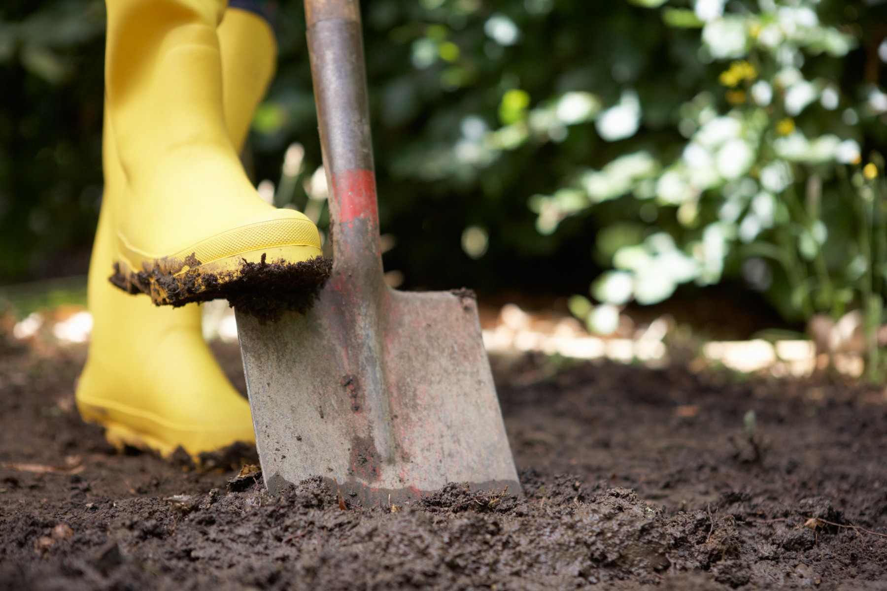 A person wearing yellow wellies digging using a shovel.
